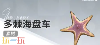 开放空间赶海物什么时候出现 赶海物出现时间介绍